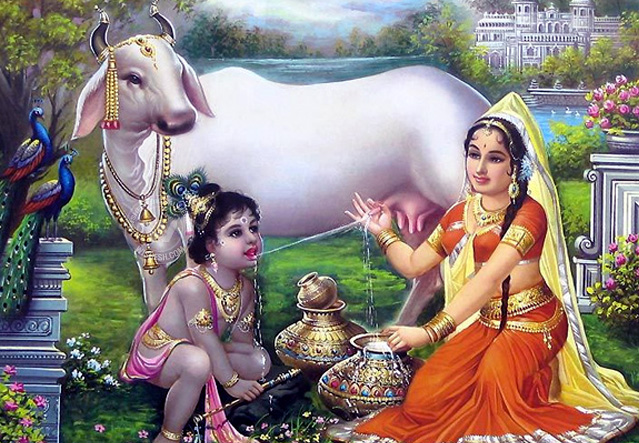 /media/k2/galleries/46751/Janmashtami-3