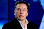 Elon Musk shares, Elon Musk Tesla news, after twitter poll elon musk sells 1 1 billion usd tesla stocks, Twitter news