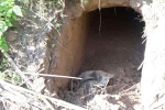 Pakistan Rangers, Pakistan, bsf found 20 meter tunnel from pakistan in sambha j k, Dharmedra pareek