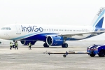 Over 200 IndiGo flights cancelled today