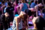 Power of Yoga, Indian Embassy in US, historic national mall to host first international day of yoga, National mall Power of Yoga, Indian Embassy in US, historic national mall to host first international day of yoga, National mall