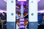 Air New Zealand, Air New Zealand Economy Flights, air new zealand introduces bunk beds in economy flights, Shankar