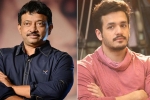 Nagarjuna, RGV, akhil rgv film in trouble, Casting couch Nagarjuna, RGV, akhil rgv film in trouble, Casting couch