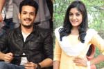 Akhil Akkineni, Akhil Akkineni new movie, akhil to romance niveda thomas, Niveda thomas Akhil Akkineni, Akhil Akkineni new movie, akhil to romance niveda thomas, Niveda thomas
