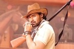Nabha Natesh, Alludu Adhurs trailer talk, alludu adhurs trailer is impressive, Nabha natesh
