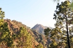 Kasauli visit, Kasauli tour, amazing things to do and see in kasauli, Videos