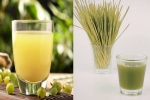 Amla Juice Vs Wheatgrass Juice comparision, Amla Juice Vs Wheatgrass Juice comparision, amla juice vs wheatgrass juice for fatty liver, Fatty