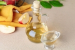 Apple Cider Vinegar tips, Apple Cider Vinegar news, health benefits of apple cider vinegar, Tips