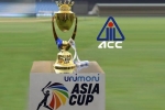 Saurav Ganguly, BCCI, asia cup is canceled bcci president saurav ganguly, Asia cup 2020