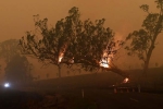 forest land, forest land, australia fires warnings of huge blazes ahead despite raining, Global warming