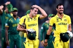 Australia, Australia Vs South Africa updates, australia enters world cup final 2023, David warner Australia, Australia Vs South Africa updates, australia enters world cup final 2023, David warner