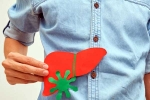 Liver Health, Liver Health test, basic tests for your liver health, Liver health