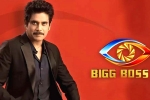 Star MAA, Bigg Boss 5 Telugu host, bigg boss 5 to commence from september 5th, Television show