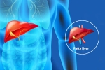 Fatty Liver Disease News health, Fatty Liver Disease News breaking updates, body organs that can be affected by fatty liver disease, Excessive drinking