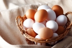 Brown Eggs Vs White Eggs which is good, Brown Eggs Vs White Eggs, brown eggs vs white eggs which is healthy, Brown eggs