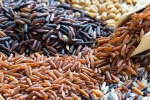 Brown Rice Vs Black Rice suggestions, Black Rice, brown rice vs black rice which one is healthier, Black rice