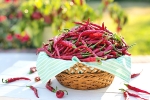chili pepper diet weight loss, does green chilli help weight loss, chili peppers help burn away the fat, Purdue university