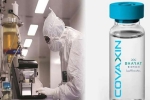 Covaxin India, Coronavirus vaccine, covaxin india s 1st covid 19 vaccine to get approval for human trials, Monkey