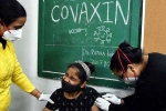 Covaxin, Covaxin impact, covaxin infected 50 percent of the teens, Anar