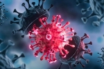 USA Coronavirus rise, USA Coronavirus, delta variant makes usa tensed again, Ventilators