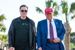 Donald Trump breaking updates, Donald Trump latest, donald trump finally addresses rumors about elon musk, Tiktok