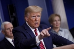 donald trump, impeachment, donald trump s ban on who funding could get him impeached, Nancy pelosi