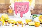 Better Gut Health latest, Better Gut Health new breaking, quick and easy drinks for better gut health, Better gut health