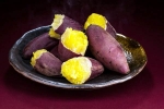 Sweet Potato for health, Sweet Potato breaking, what happens if you eat sweet potato everyday, Potato