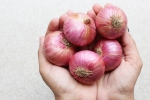Raw Onions experts, Raw Onions latest breaking, possible side effects of eating raw onions, Headaches