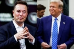 USA, Elon Musk and Donald Trump deal, elon musk s big bet on donald trump, Donor USA, Elon Musk and Donald Trump deal, elon musk s big bet on donald trump, Donor