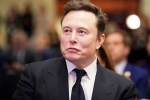 Epstein Files, Elon Musk Epstein Files news, elon musk named in new epstein files, Elon musk