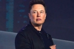 Elon Musk updates, Twitter, elon musk talks about cage fight again, Pizza Elon Musk updates, Twitter, elon musk talks about cage fight again, Pizza