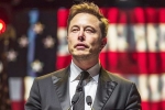 Musk intelligence, US elections, is elon musk in the trump cabinet, Matrix