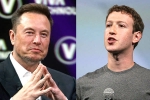 Elon Musk and Mark Zuckerberg news, Elon Musk and Mark Zuckerberg flight, elon vs zuckerberg mma fight ahead, Cage fight Elon Musk and Mark Zuckerberg news, Elon Musk and Mark Zuckerberg flight, elon vs zuckerberg mma fight ahead, Cage fight