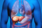 Fatty Liver in Youngsters for health, Fatty Liver in Youngsters for health, why is fatty liver affecting youngsters, Mediterranean diet