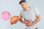 Fatty Liver health tips, Fatty Liver 2025, fatty liver can be reversed in just one month, Tips