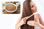 Flaxseeds for hair health, Flaxseeds health benefits, how flaxseeds can help for a long and healthy hair, Yogurt