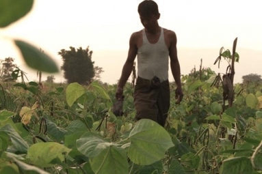 Global Cinema Film Festival Of Boston Boasts Outstanding Selection