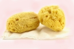 sea sponges as tampons, where to buy period sponges, gynecologist warns women against using sea sponges as reusable nurturing alternatives to tampons, Celine
