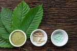 kratom, disorders care, this pain treating herbal supplement is not safe for use, T agitation