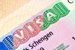 Schengen visa for Indians 2024, Schengen visa for Indians breaking, indians can now get five year multi entry schengen visa, H 1b visas