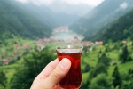 International Tea Day significance, International Tea Day news, international tea day 2025 facts and significance, Mint