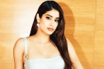 Janhvi Kapoor new breaking, Janhvi Kapoor new breaking, buzz janhvi kapoor in allu arjun s next, Janhvi kapoor