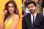 Kriti Sanon, Kriti Sanon news, kriti sanon to romance vijay in his next, 1 nenokkadine