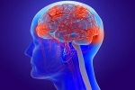 Coronavirus updates, Coronavirus brain news, coronavirus can cause long term loss of brain tissue, Coronavirus impact