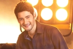 Mahesh Babu and Sara Ali Khan, Mahesh Babu and Sara Ali Khan, mahesh babu getting bollywood beauty for his next, Sarileru neekevvaru