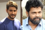 Anil Ravipudi, Mahesh Babu next, mahesh babu shelves sukumar s project, 1 nenokkadine