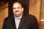 mehul choksi company, mehul choksi family, mehul choksi surrenders his indian passport to antigua authorities, Pnb