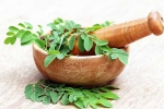 Moringa in diet, Moringa diet, is moringa a must have in your diet, Narendra modi