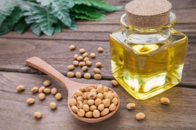 Most widely Used Soybean Oil may Cause Adverse Effect in Neurological Health